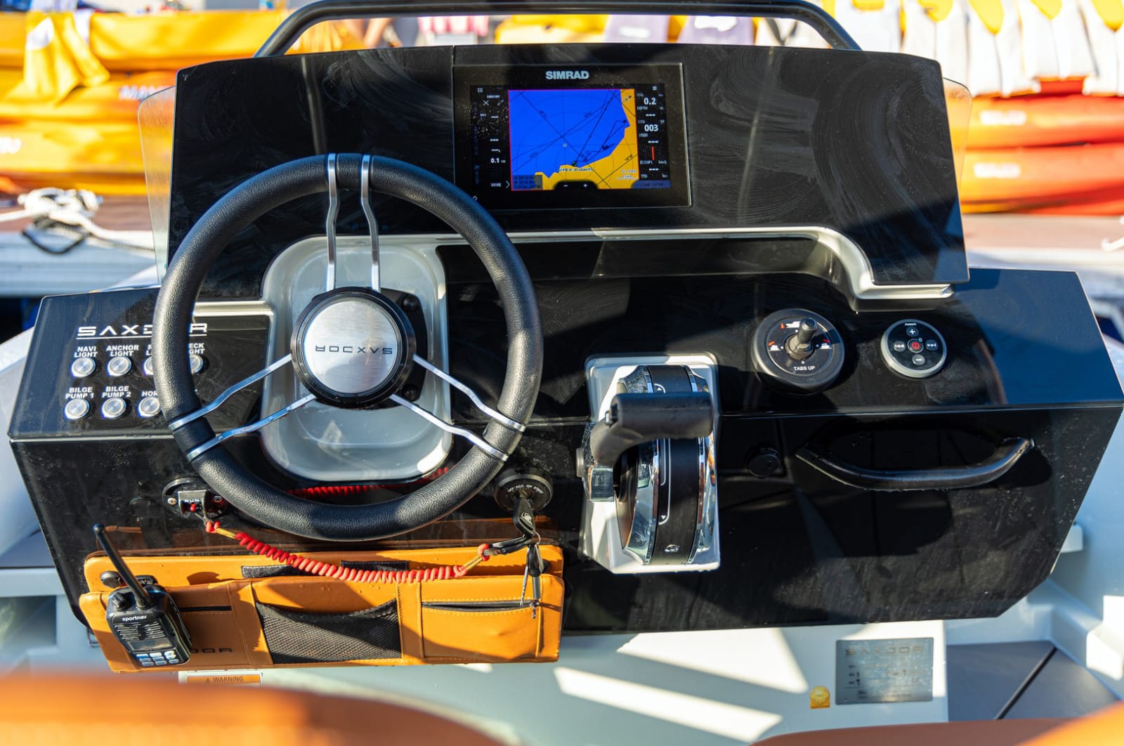 Paseo en barco con licencia PNB/PER desde Los Gigantes